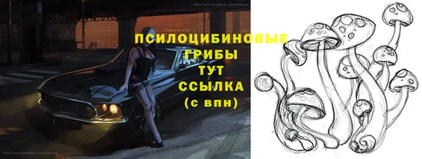 бутират Алексин